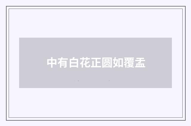 中有白花正圆如覆盂