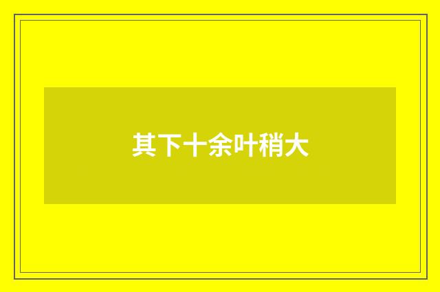 其下十余叶稍大