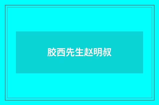 胶西先生赵明叔