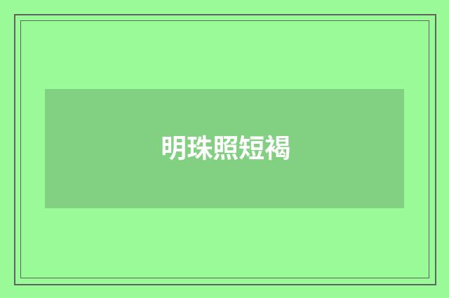 明珠照短褐
