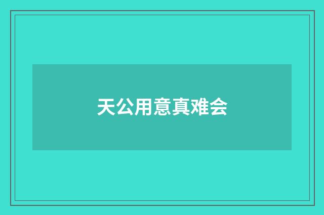 天公用意真难会