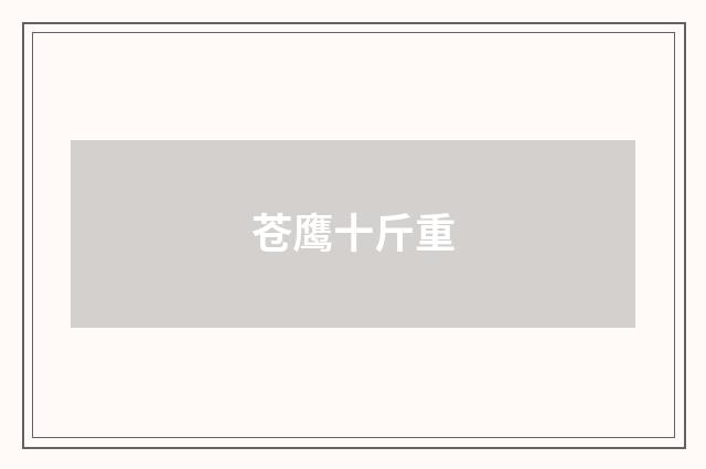 苍鹰十斤重