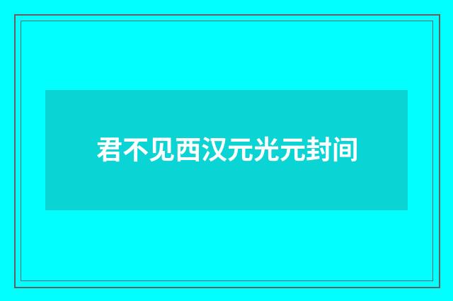 君不见西汉元光元封间