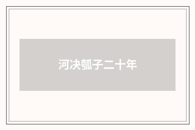 河决瓠子二十年