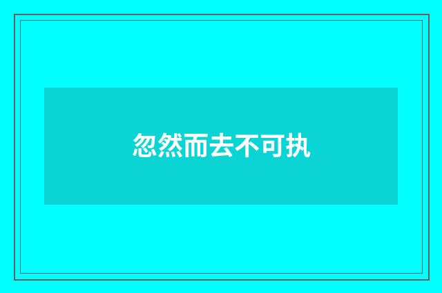 忽然而去不可执
