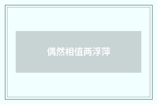 偶然相值两浮萍