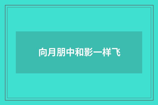 向月朋中和影一样飞