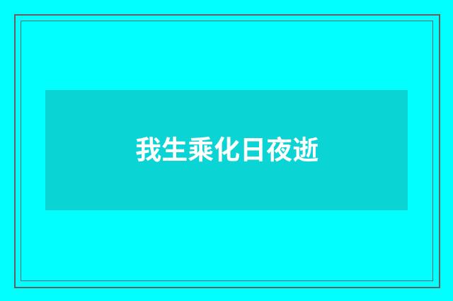 我生乘化日夜逝
