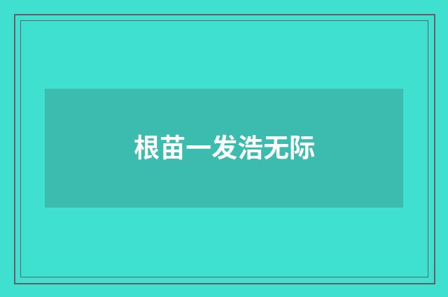 根苗一发浩无际