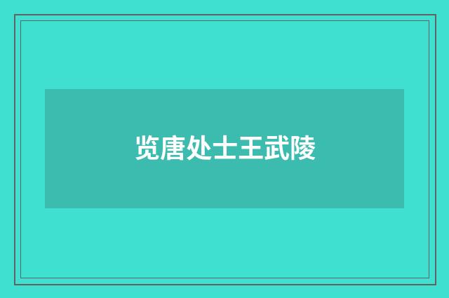 览唐处士王武陵