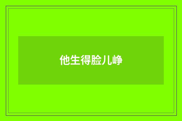 他生得脸儿峥