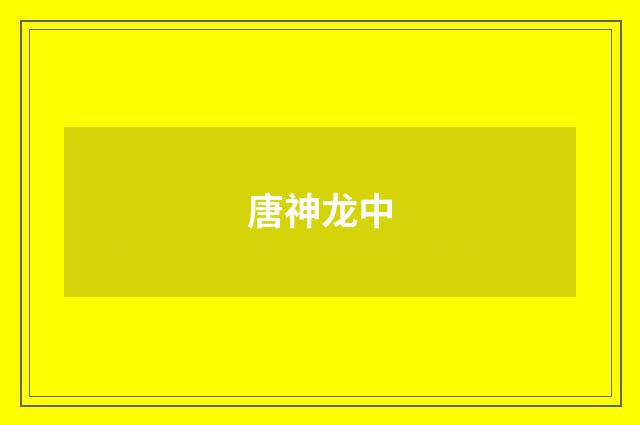 唐神龙中