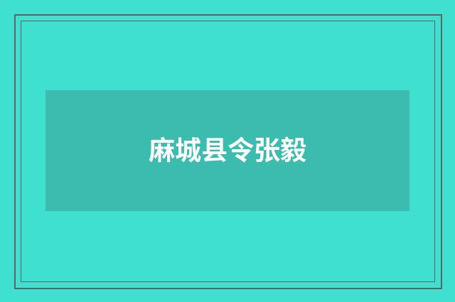 麻城县令张毅