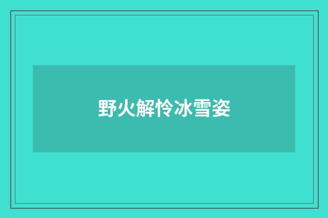 野火解怜冰雪姿