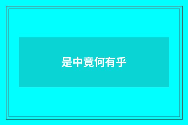 是中竟何有乎