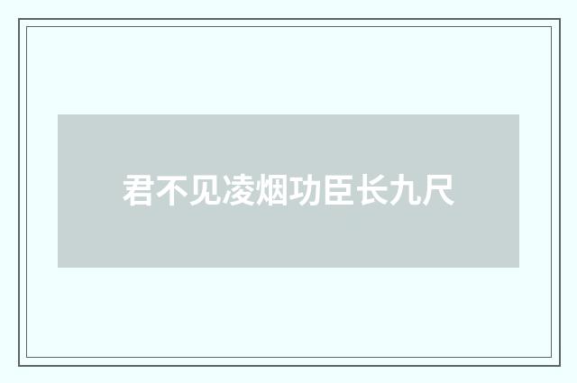 君不见凌烟功臣长九尺