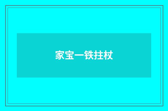 家宝一铁拄杖