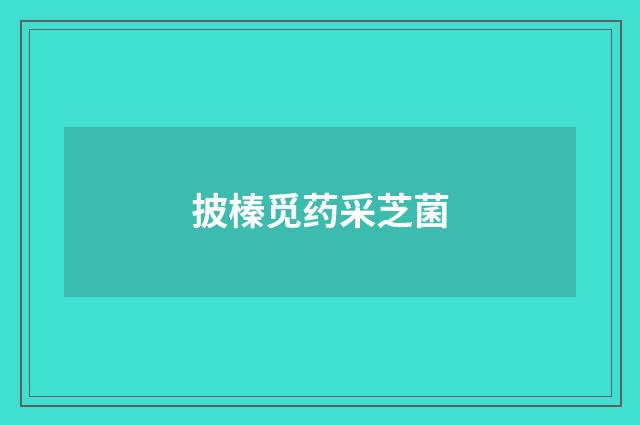 披榛觅药采芝菌
