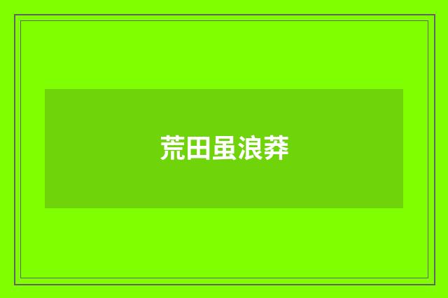 荒田虽浪莽
