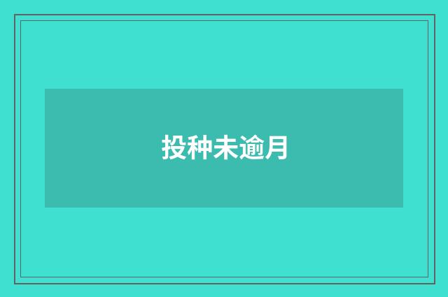 投种未逾月