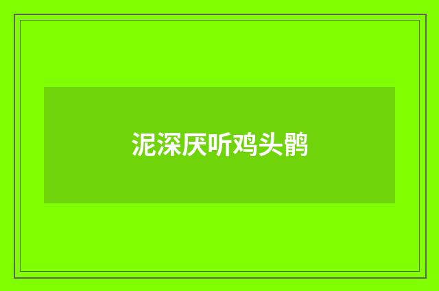 泥深厌听鸡头鹘