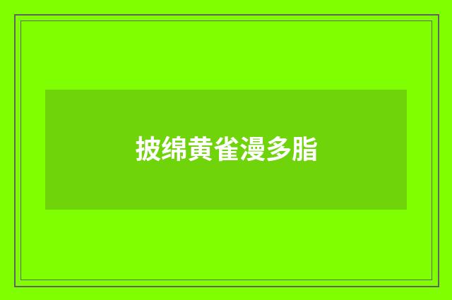 披绵黄雀漫多脂