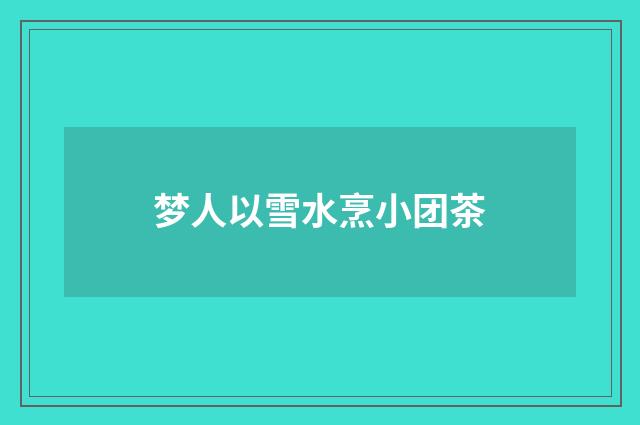 梦人以雪水烹小团茶