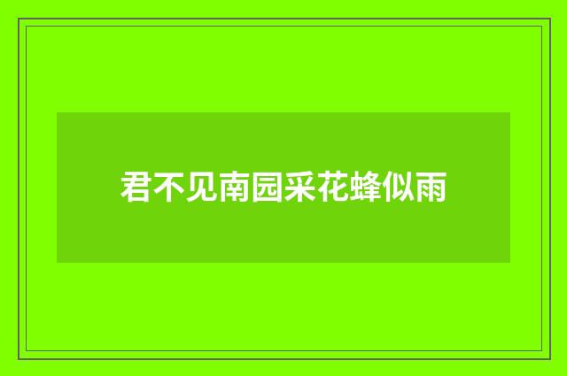 君不见南园采花蜂似雨