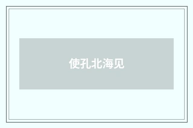 使孔北海见
