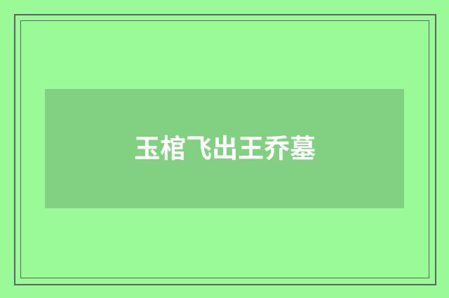 玉棺飞出王乔墓