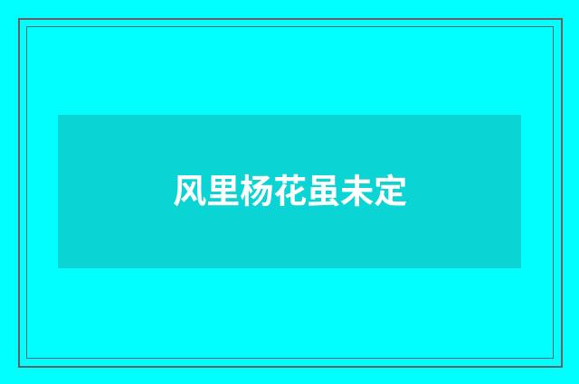 风里杨花虽未定