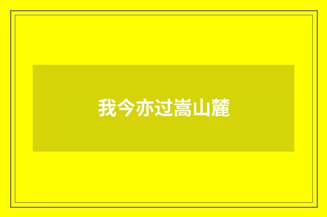 我今亦过嵩山麓