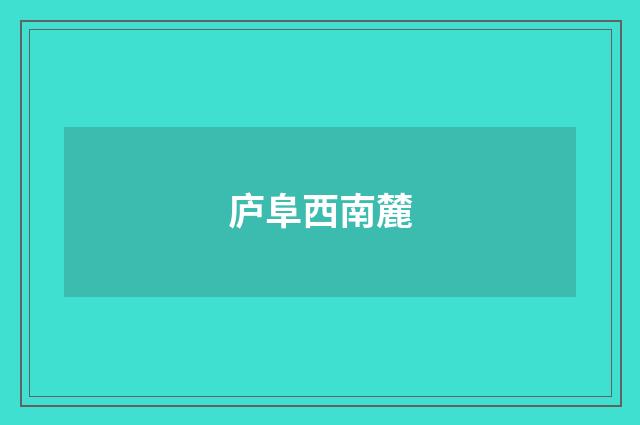庐阜西南麓