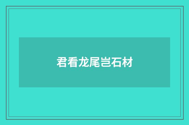 君看龙尾岂石材