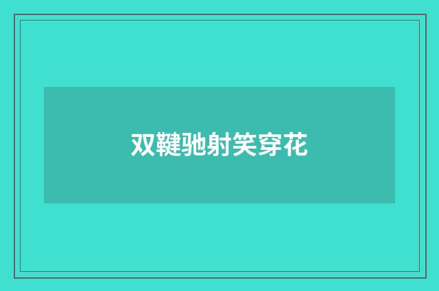 双鞬驰射笑穿花
