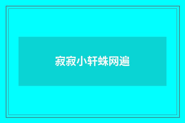 寂寂小轩蛛网遍