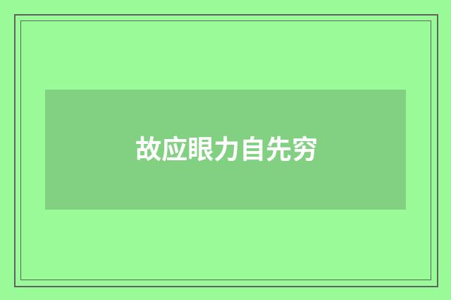 故应眼力自先穷
