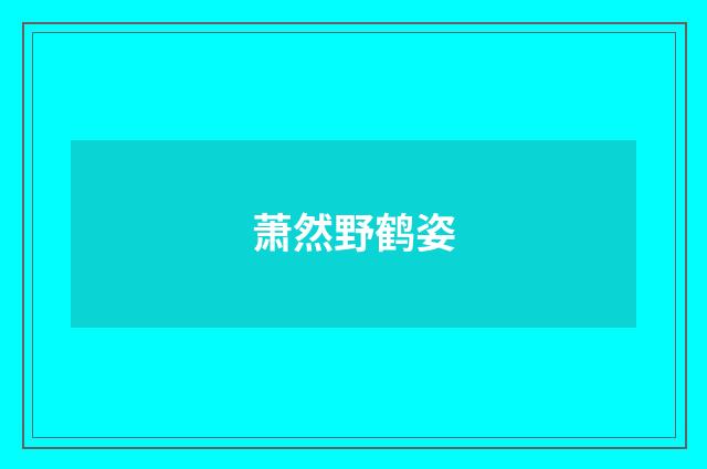 萧然野鹤姿