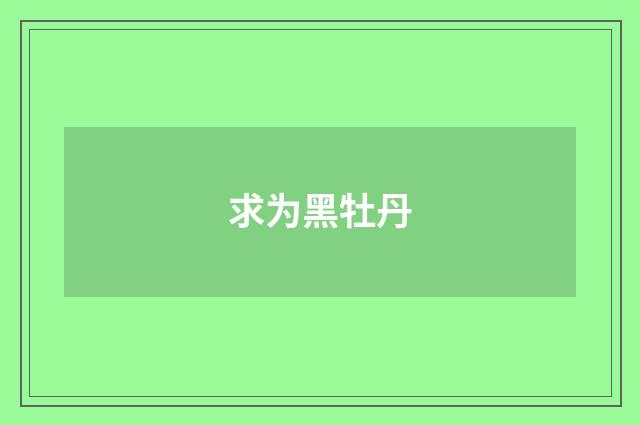 求为黑牡丹