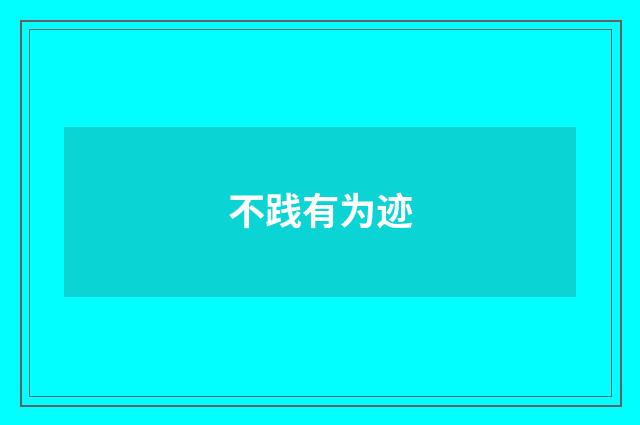 不践有为迹