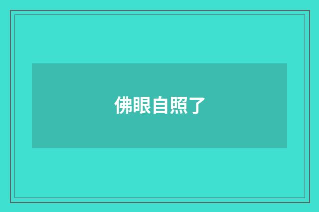 佛眼自照了