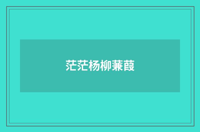 茫茫杨柳蒹葭