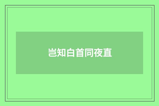 岂知白首同夜直