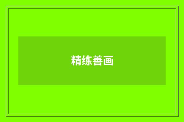 精练善画