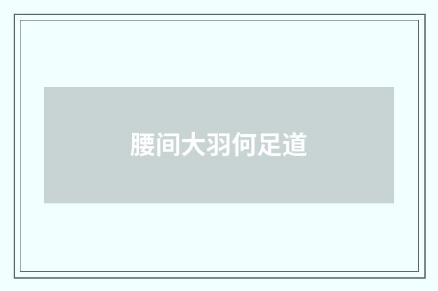 腰间大羽何足道