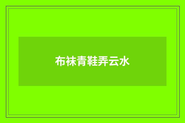 布袜青鞋弄云水