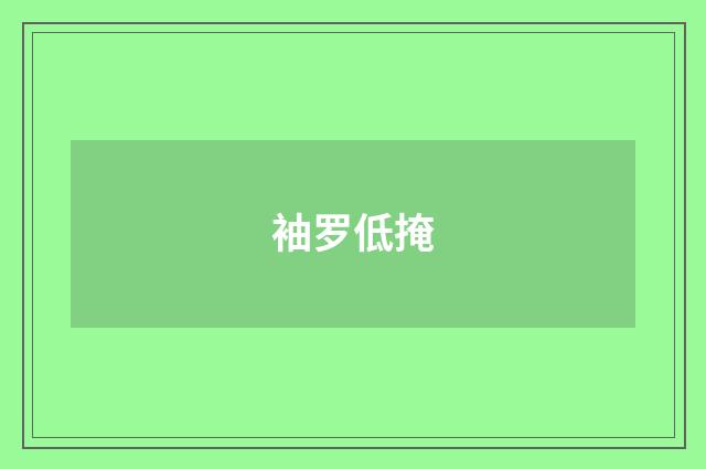 袖罗低掩