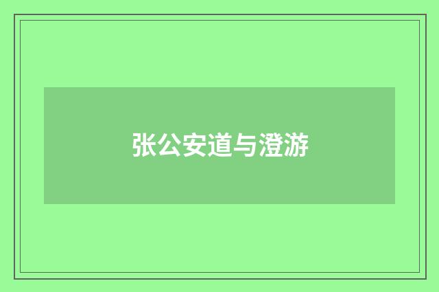 张公安道与澄游