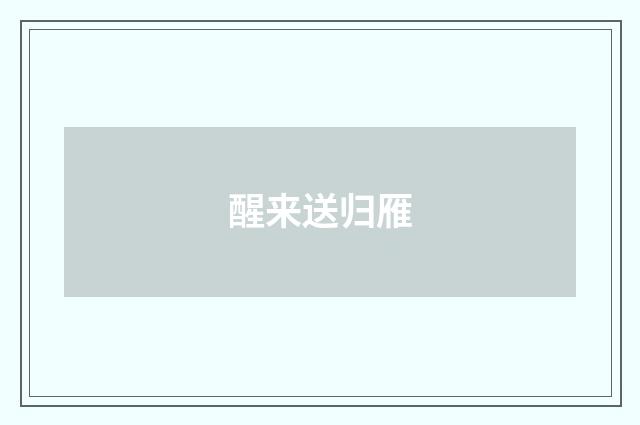 醒来送归雁