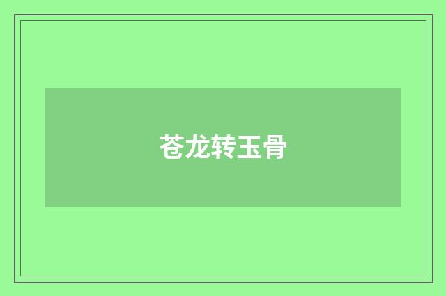 苍龙转玉骨